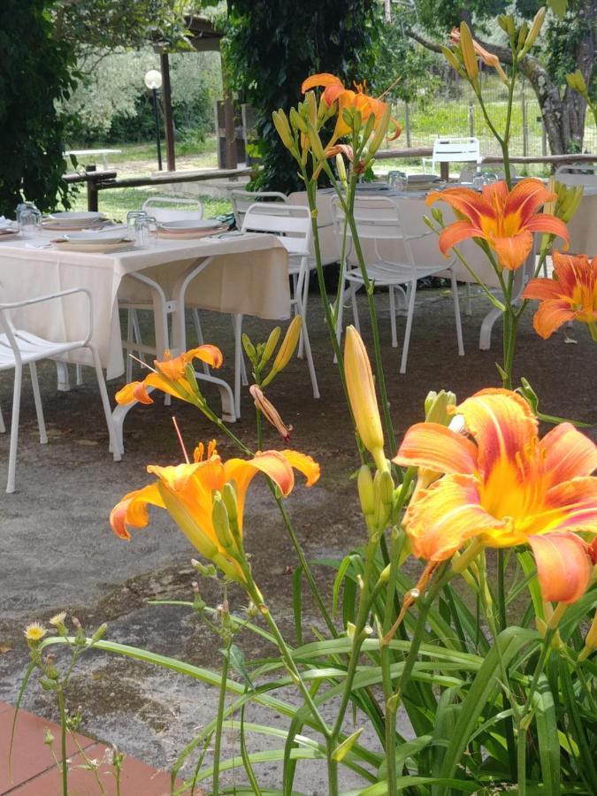 Agriturismo Botro Pulicciano Eksteriør bilde