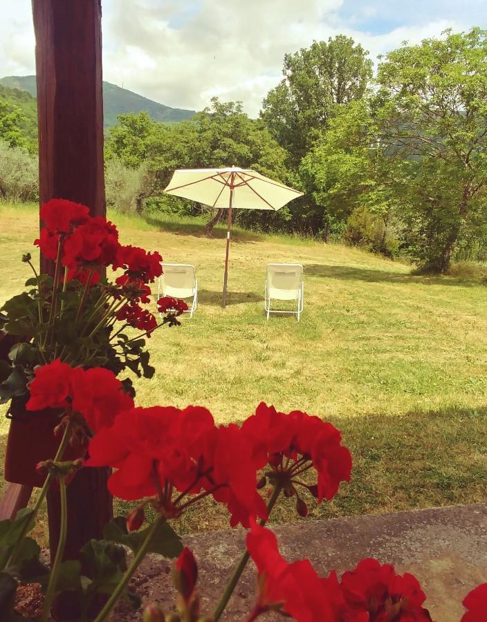 Agriturismo Botro Pulicciano Eksteriør bilde