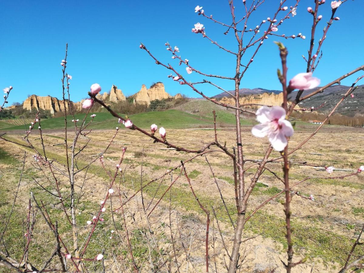 Agriturismo Botro Pulicciano Eksteriør bilde